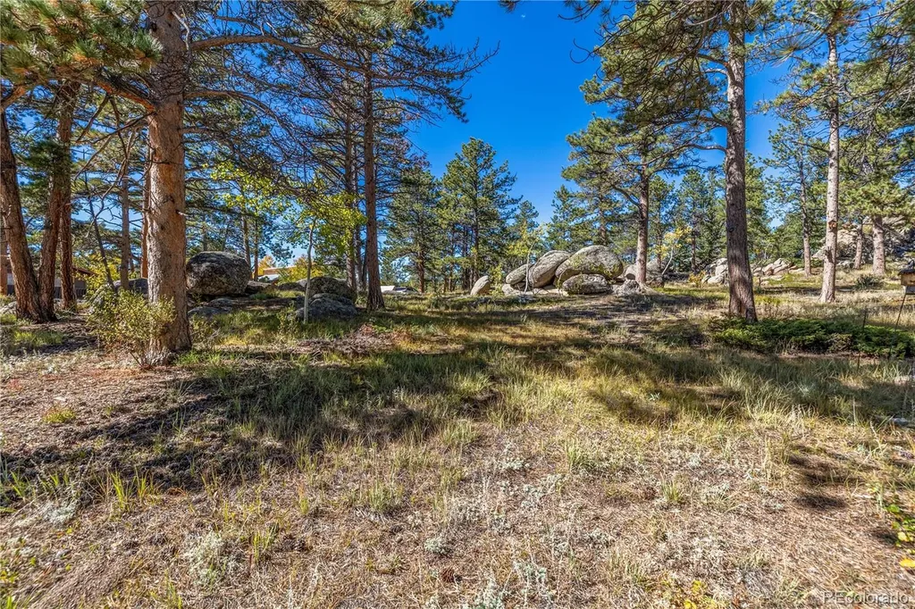 Lot 5a & 5b Red Feather Lakes CO 80545