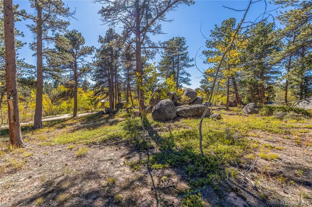 Lot 5a & 5b Red Feather Lakes CO 80545