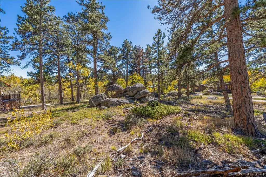 Lot 5a & 5b Red Feather Lakes CO 80545