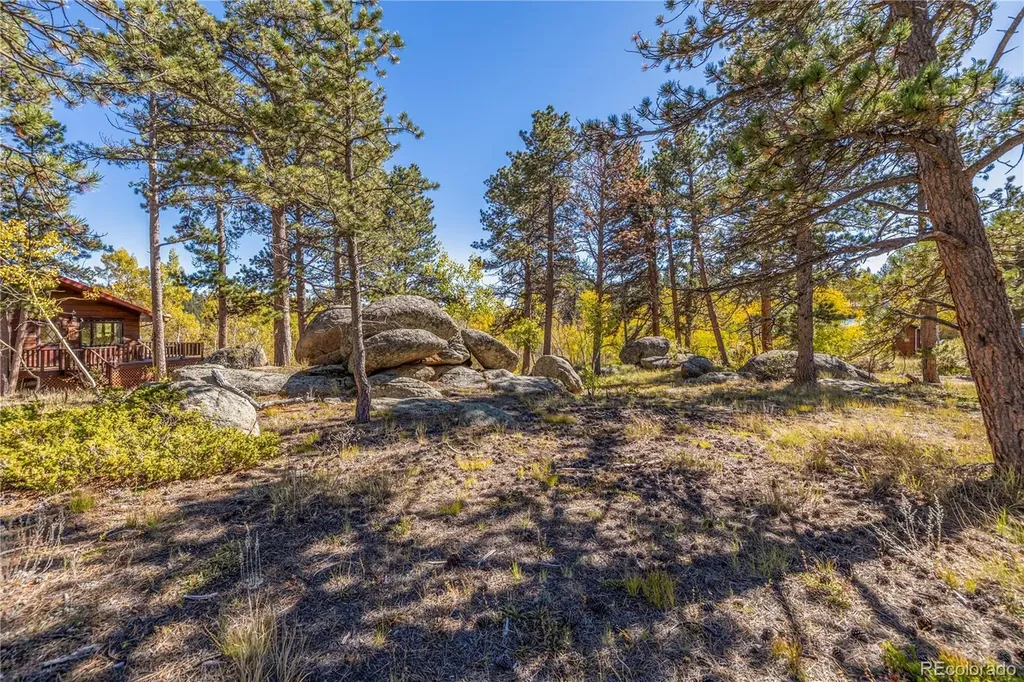 Lot 5a & 5b Red Feather Lakes CO 80545