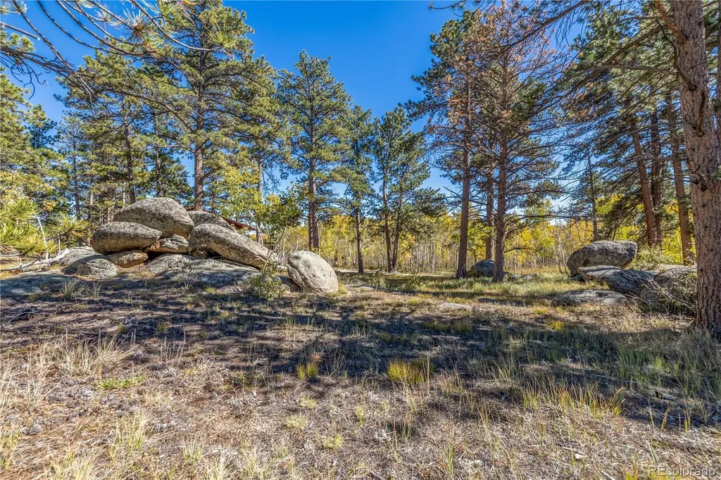 Lot 5a & 5b Red Feather Lakes CO 80545