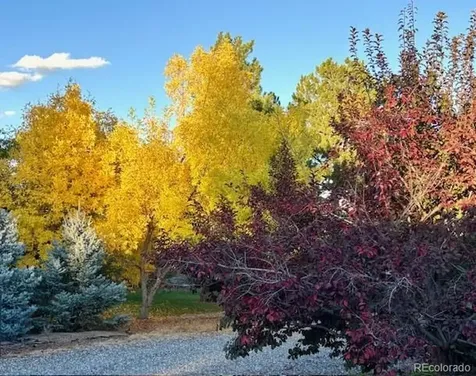 5041 Juniper Street Littleton CO 80123