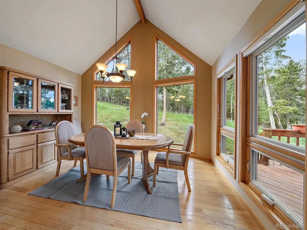 13094 Molly Drive Conifer CO 80433