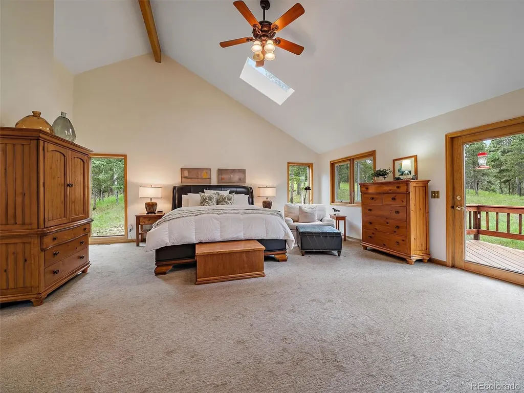 13094 Molly Drive Conifer CO 80433