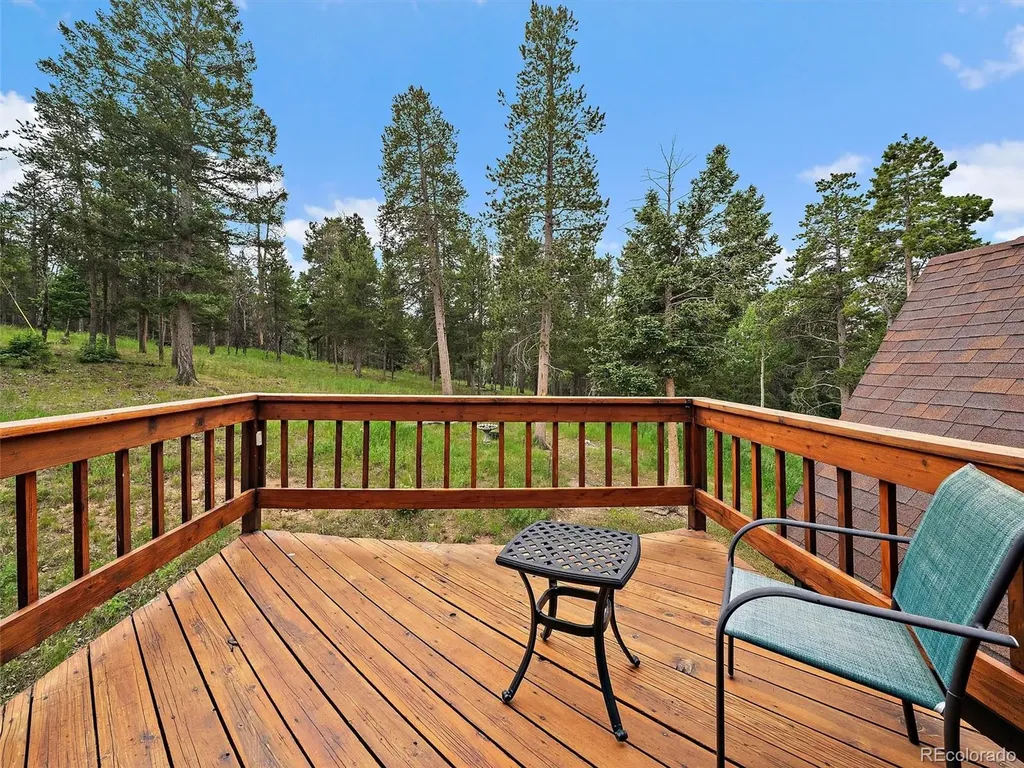 13094 Molly Drive Conifer CO 80433