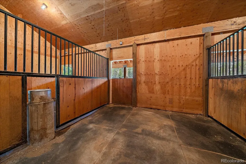 13094 Molly Drive Conifer CO 80433
