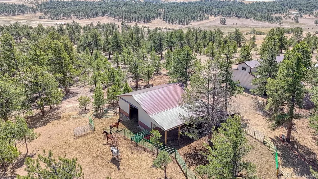 4701 County Road 323 Westcliffe CO 81252