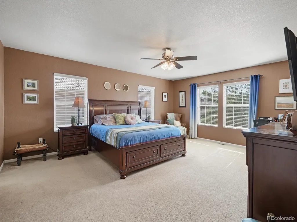 1752 Hogan Court Castle Rock CO 80109