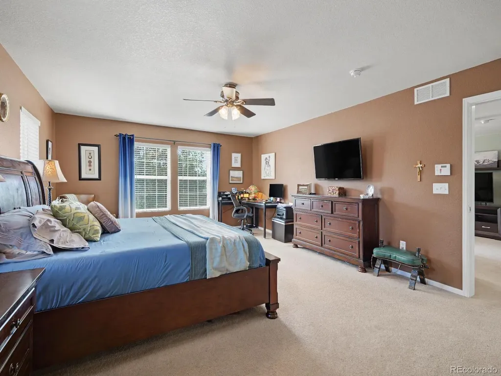 1752 Hogan Court Castle Rock CO 80109