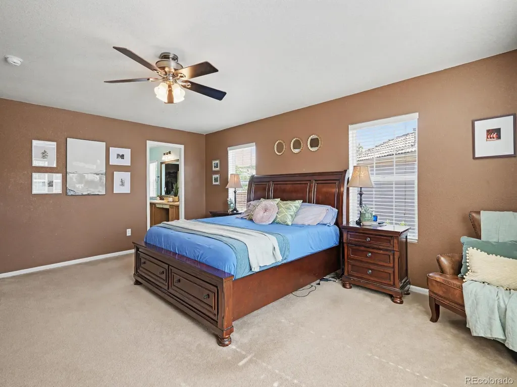 1752 Hogan Court Castle Rock CO 80109