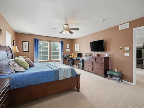 1752 Hogan Court Castle Rock CO 80109