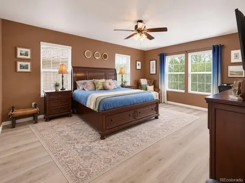 1752 Hogan Court Castle Rock CO 80109