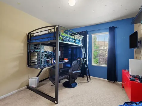 1752 Hogan Court Castle Rock CO 80109