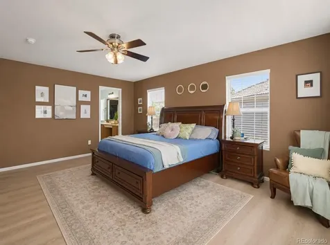 1752 Hogan Court Castle Rock CO 80109
