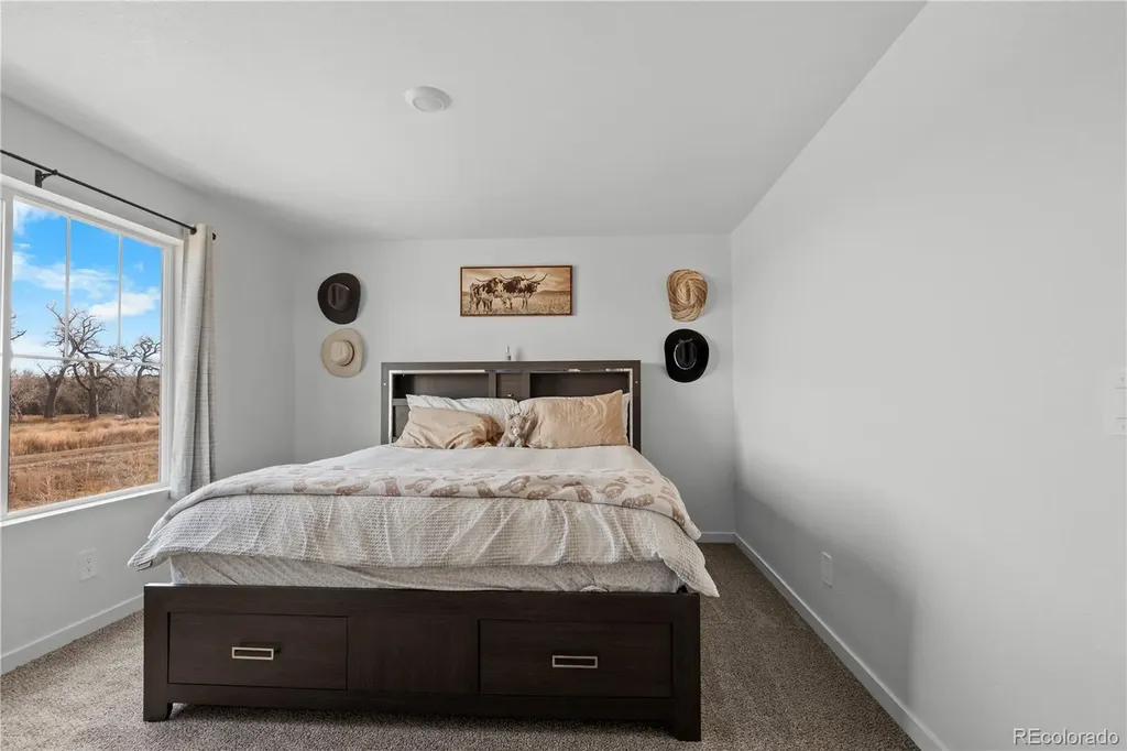 461 Condor Way Johnstown CO 80534