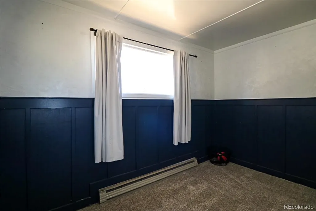 731 Midland Court Lake George CO 80827