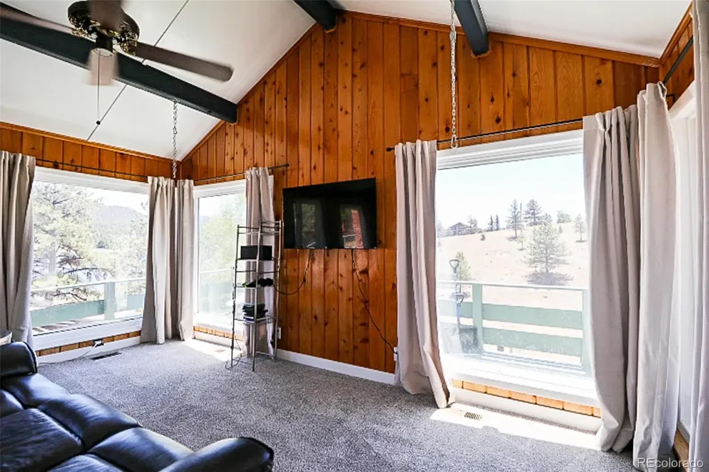 731 Midland Court Lake George CO 80827