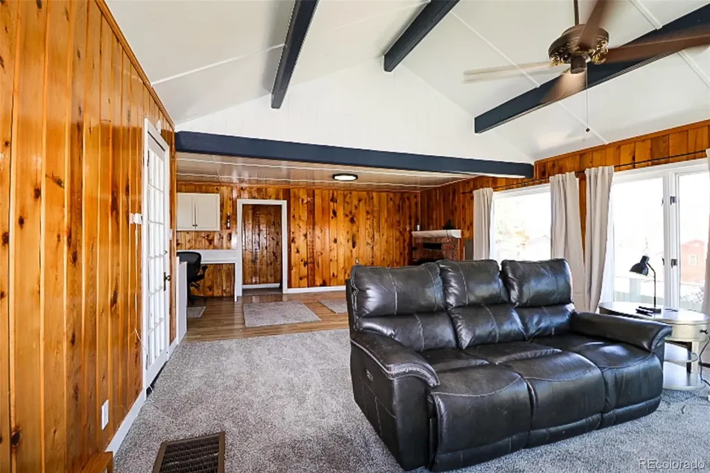 731 Midland Court Lake George CO 80827