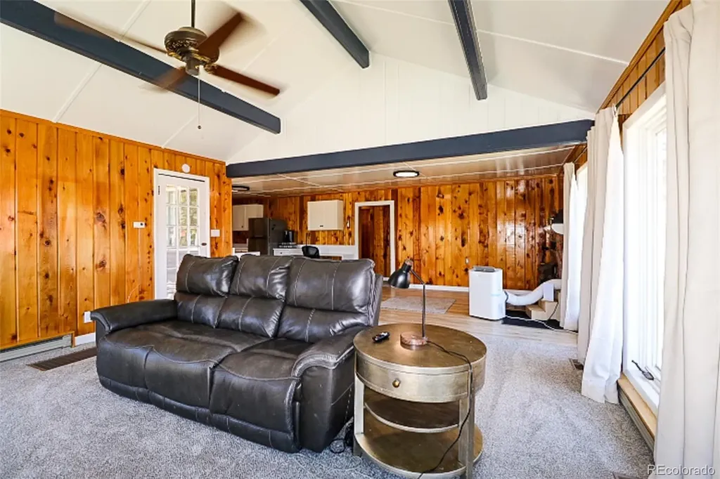 731 Midland Court Lake George CO 80827