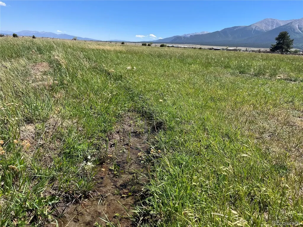 15972 County Road 306 Buena Vista CO 81211
