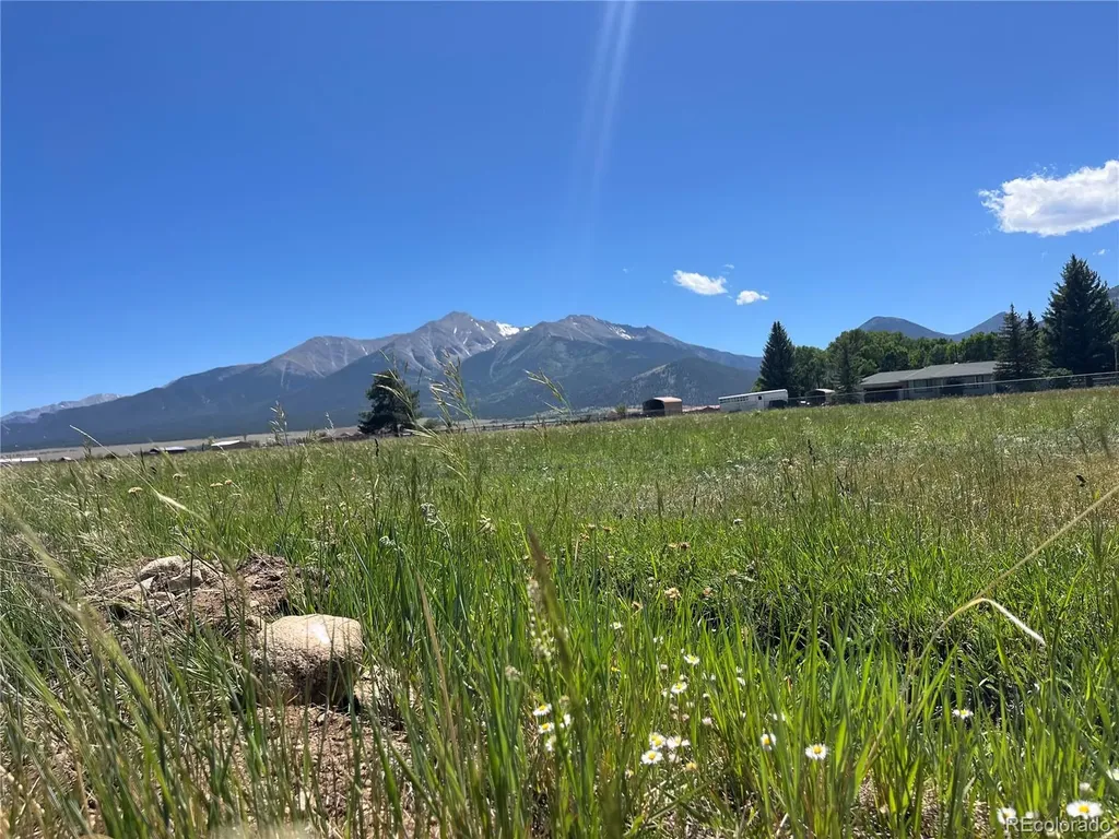 15972 County Road 306 Buena Vista CO 81211