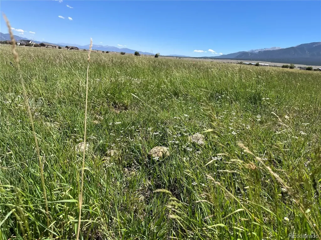 15972 County Road 306 Buena Vista CO 81211