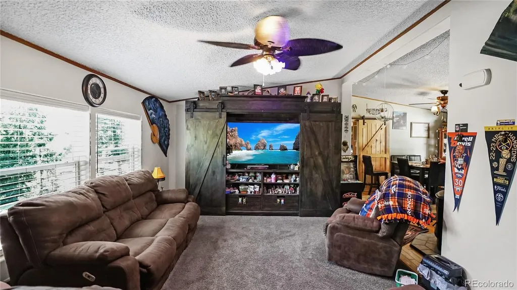 76 S Pine Drive Bailey CO 80421