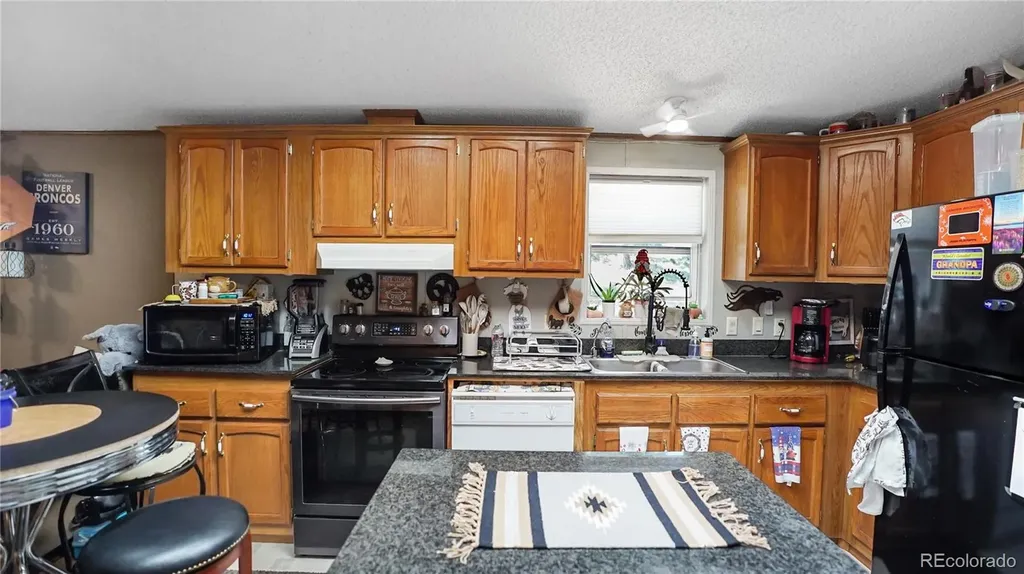 76 S Pine Drive Bailey CO 80421