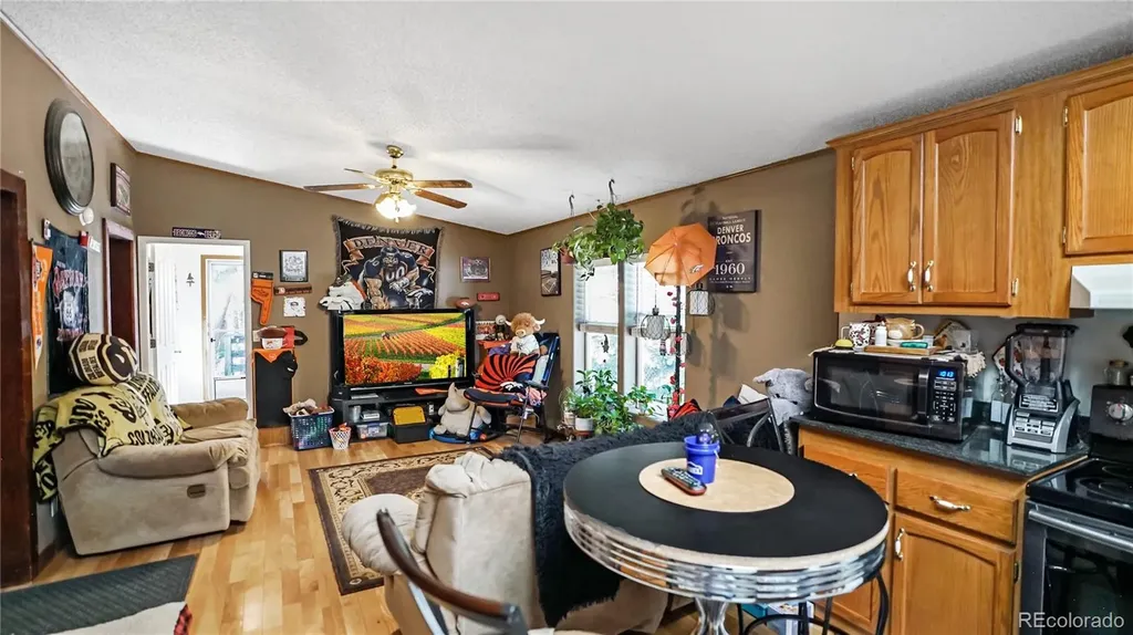 76 S Pine Drive Bailey CO 80421