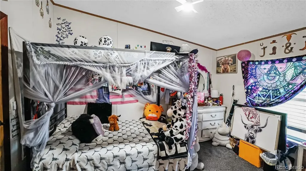 76 S Pine Drive Bailey CO 80421
