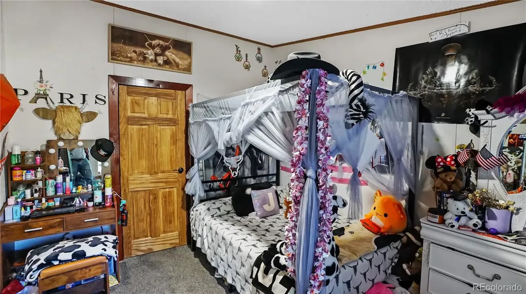 76 S Pine Drive Bailey CO 80421