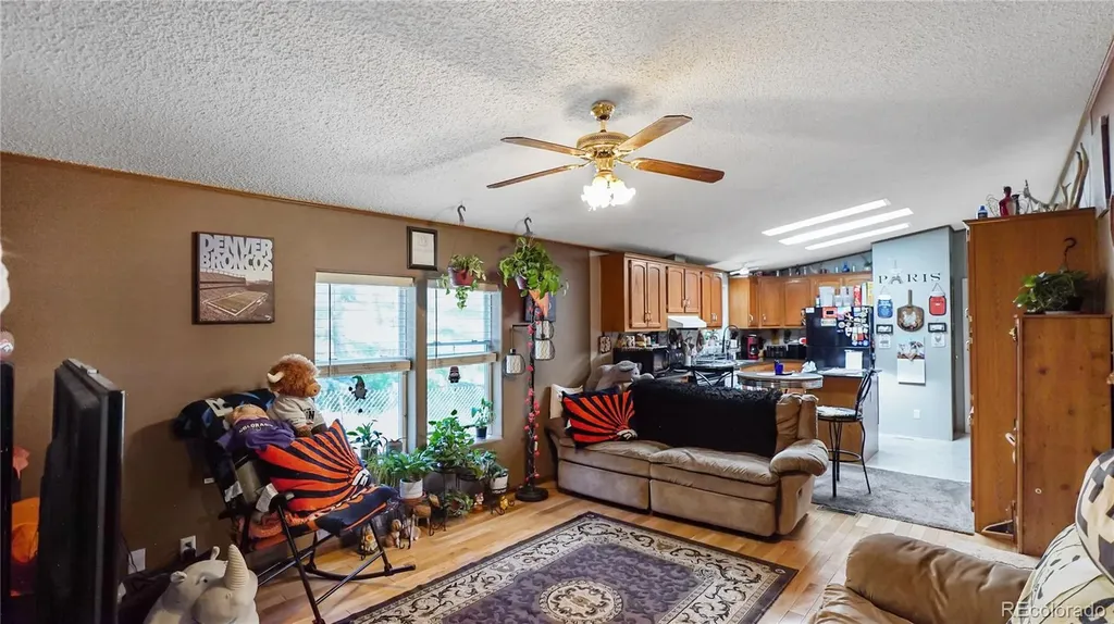 76 S Pine Drive Bailey CO 80421