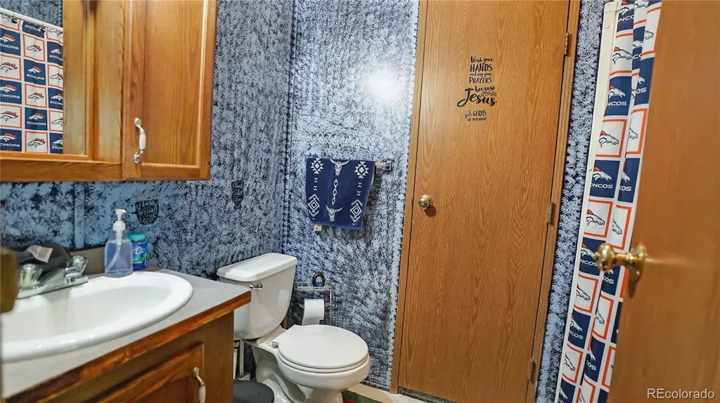 76 S Pine Drive Bailey CO 80421
