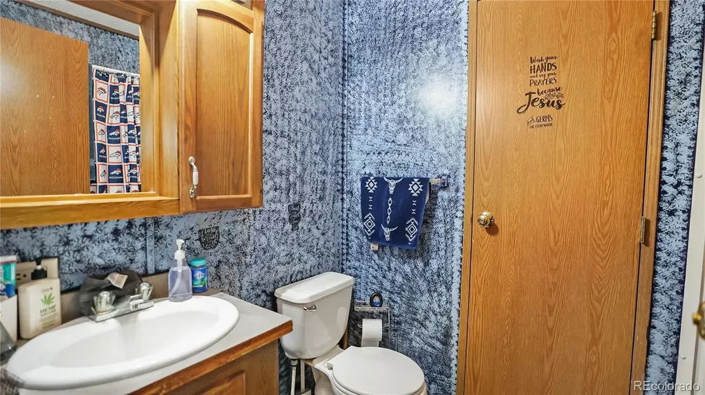 76 S Pine Drive Bailey CO 80421