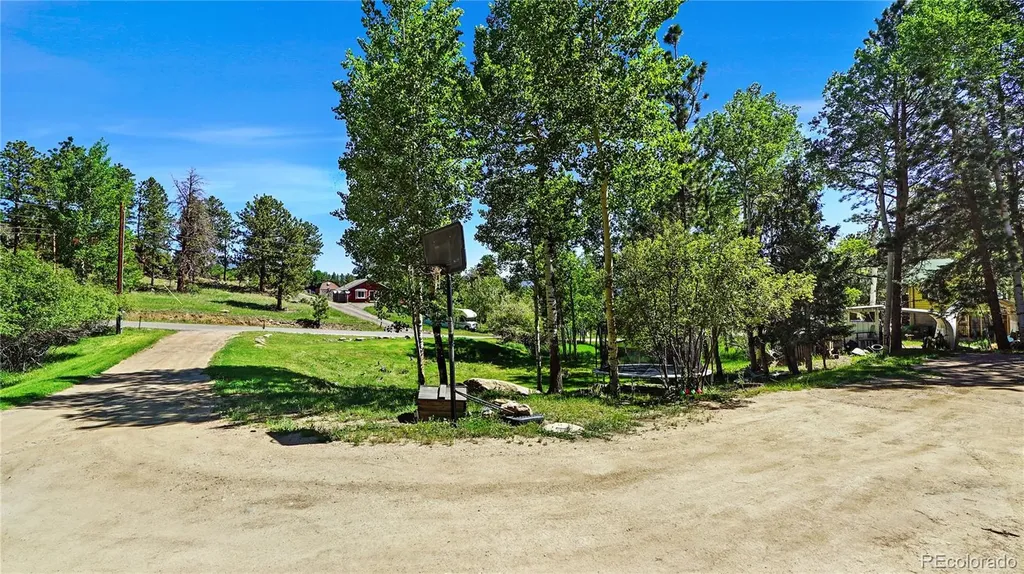 76 S Pine Drive Bailey CO 80421