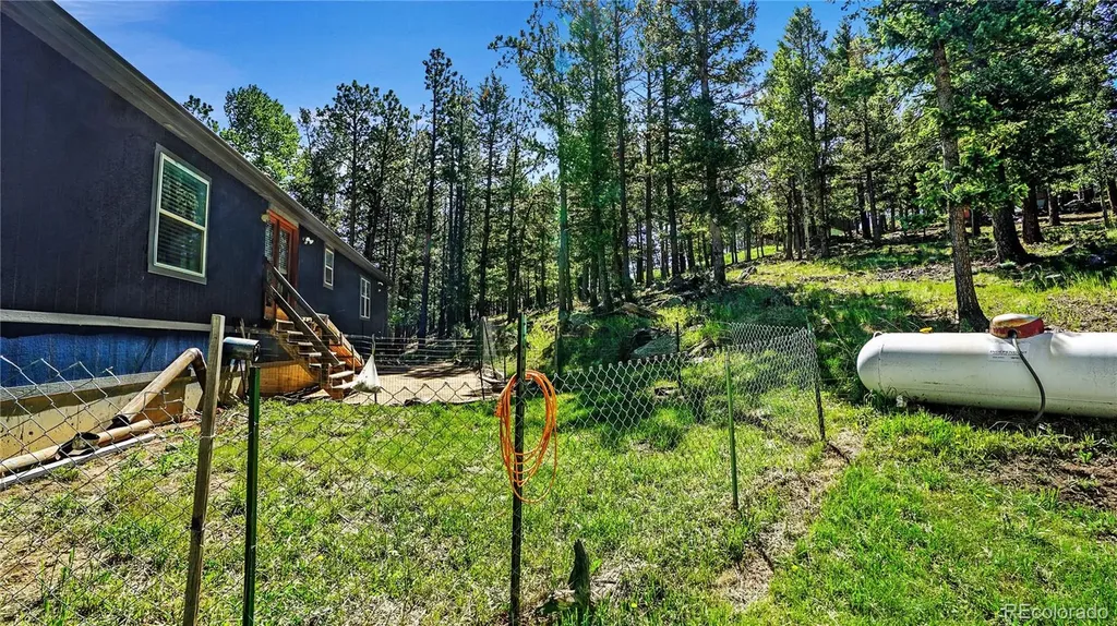 76 S Pine Drive Bailey CO 80421