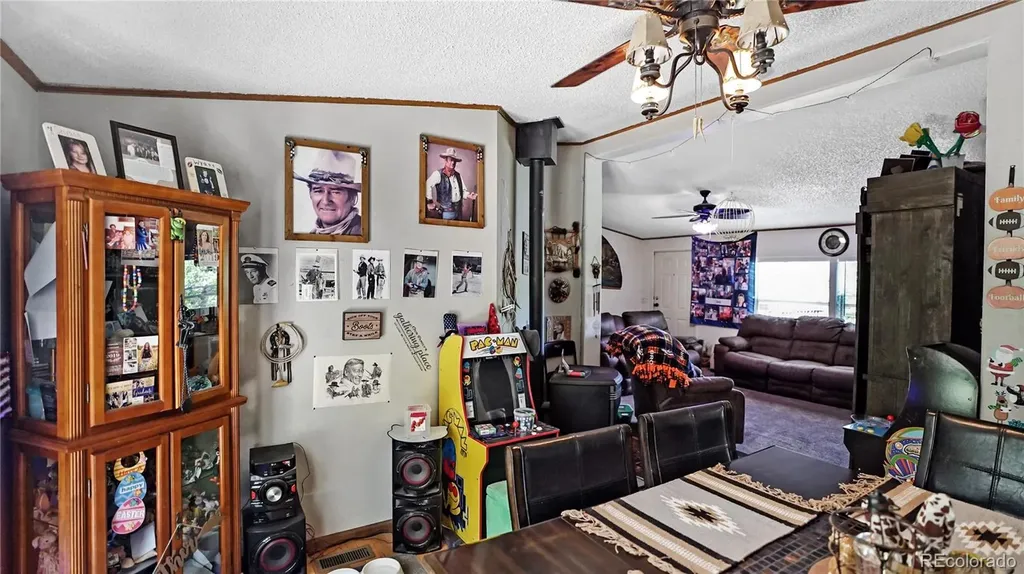 76 S Pine Drive Bailey CO 80421