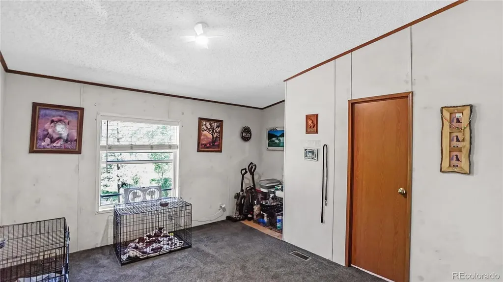 76 S Pine Drive Bailey CO 80421