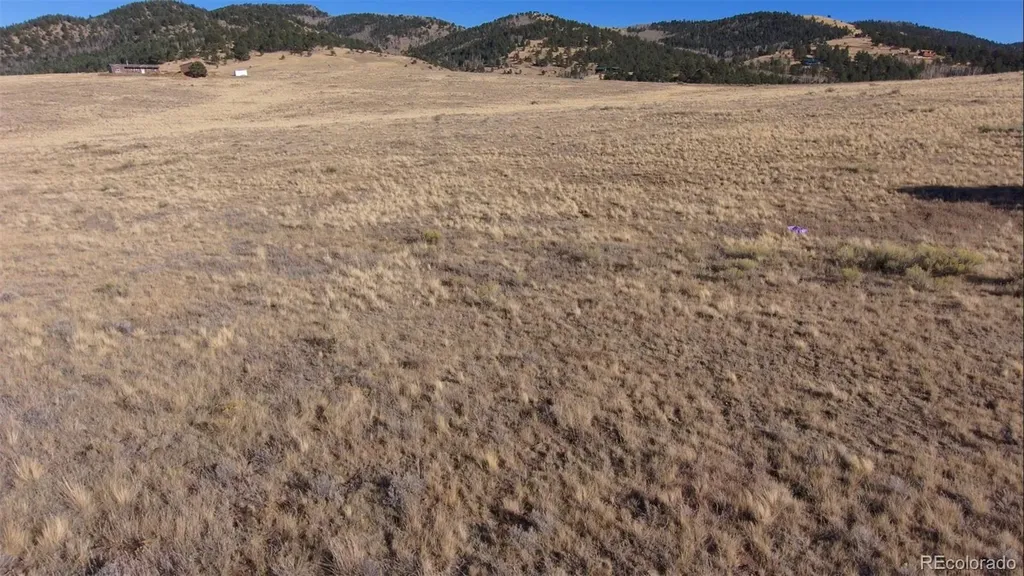 152 Wulsten Way Westcliffe CO 81252