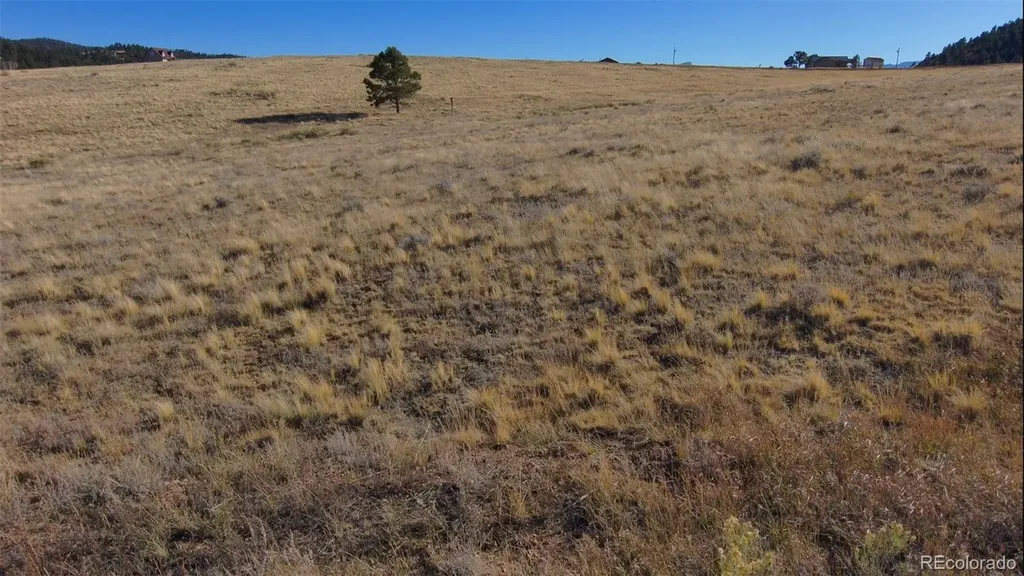 152 Wulsten Way Westcliffe CO 81252