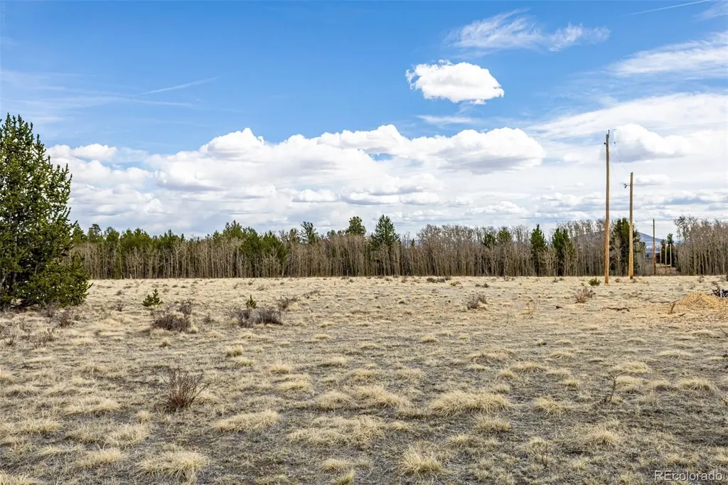 901 Bluestem Way Fairplay CO 80440