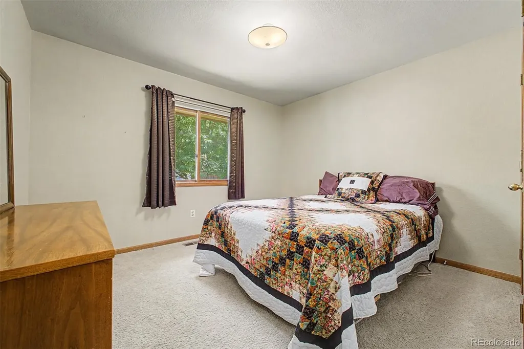 1217 Autumn Purple Drive Loveland CO 80538