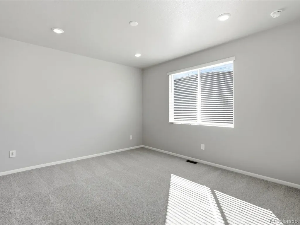 1612 Rumley Creek Drive Windsor CO 80550