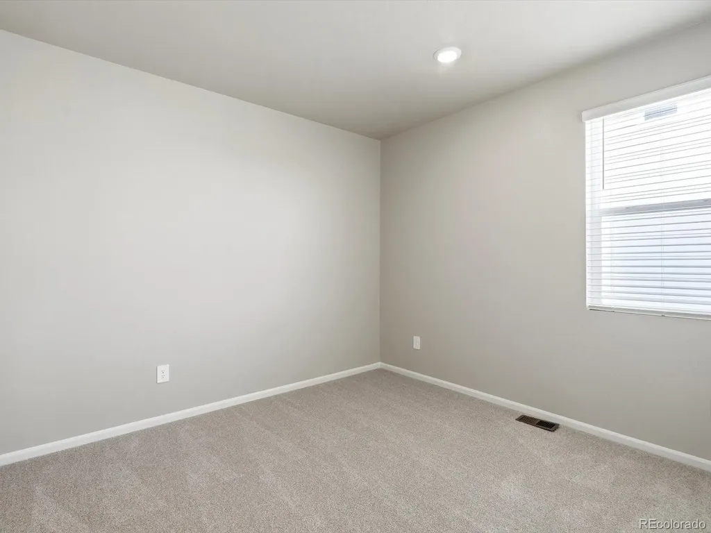 1612 Rumley Creek Drive Windsor CO 80550