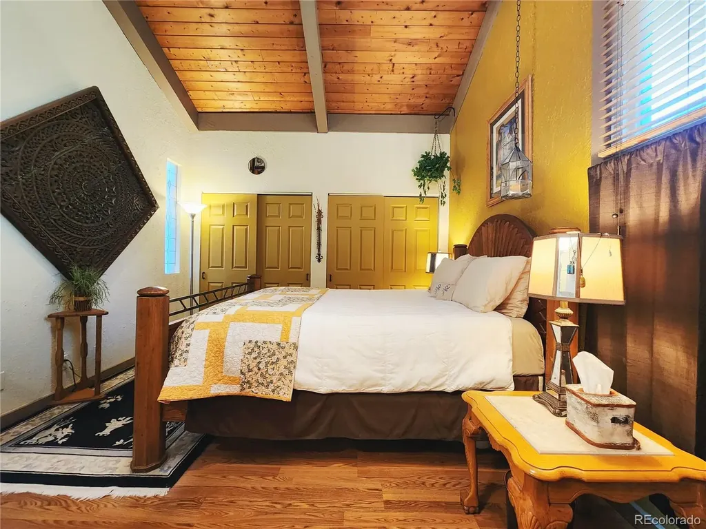 1702 Clear Creek Drive Georgetown CO 80444