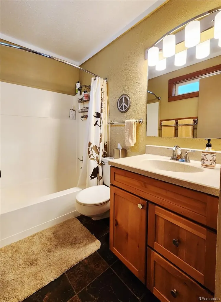 1702 Clear Creek Drive Georgetown CO 80444