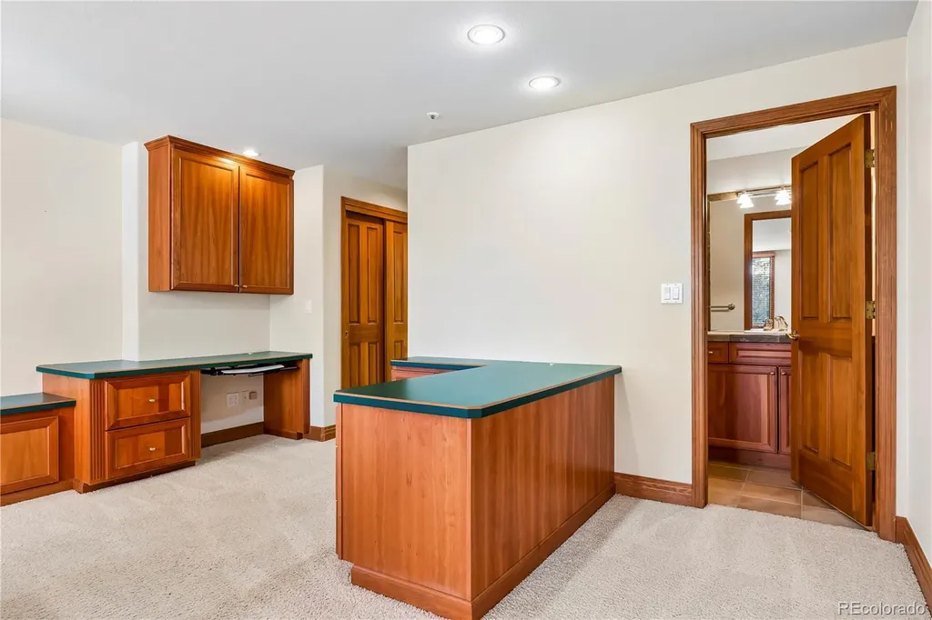 234 Lead King Drive Castle Rock CO 80108