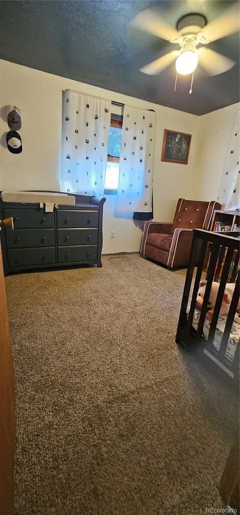 502 Colorado Avenue Arriba CO 80804