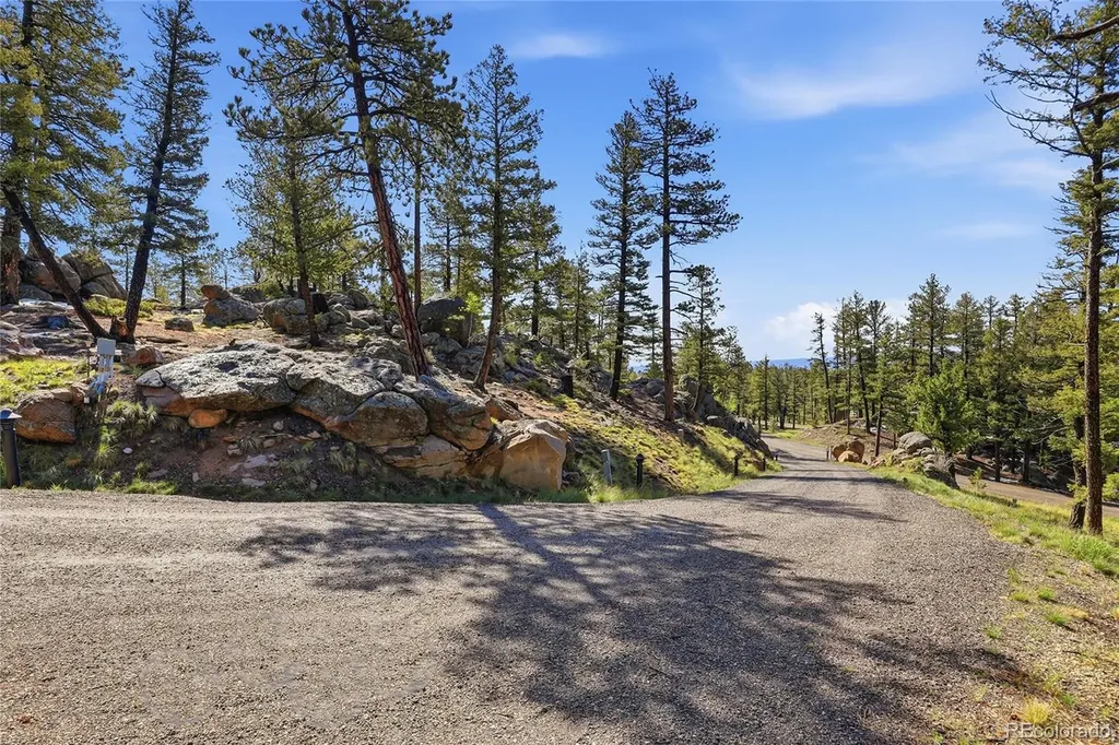 24073 Peak Drive Conifer CO 80433