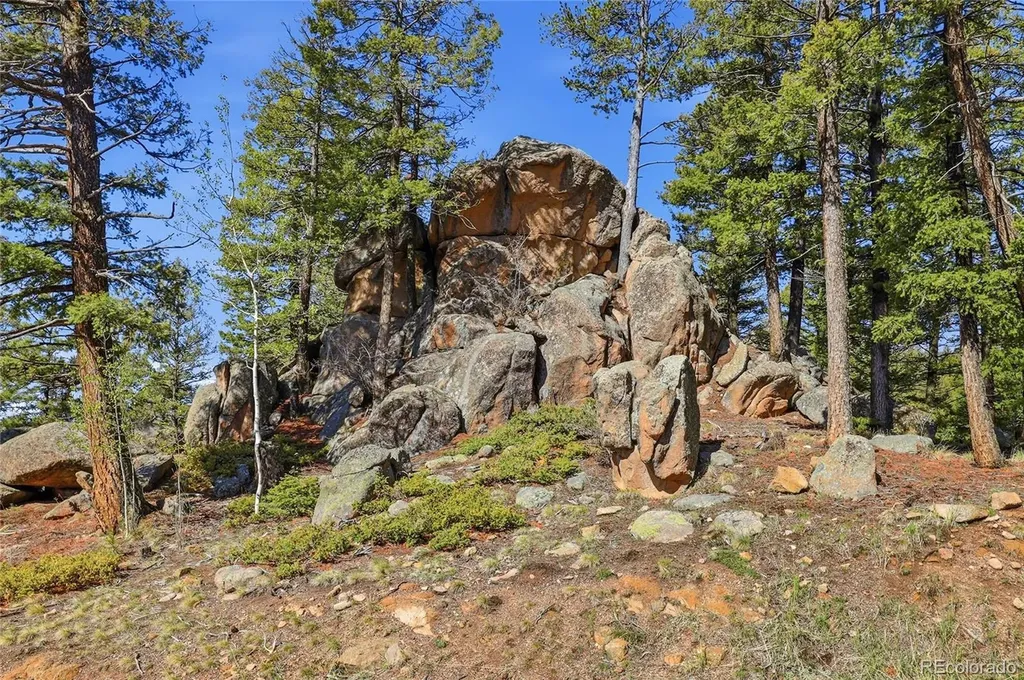 24073 Peak Drive Conifer CO 80433
